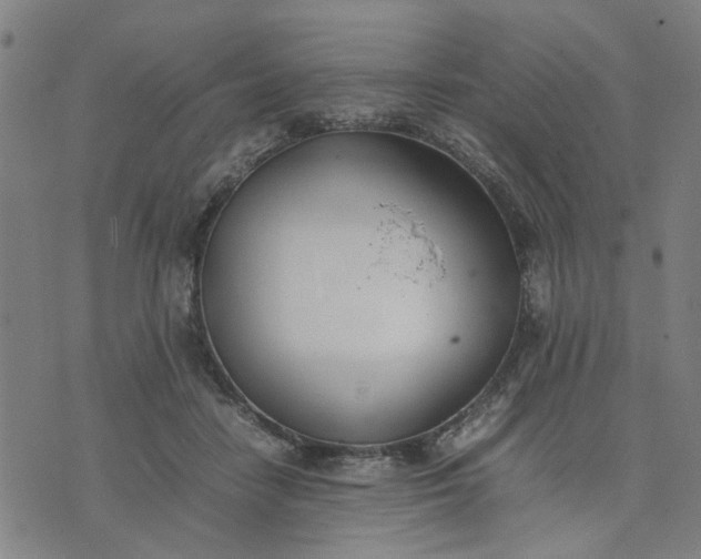 X0000074230458200609081625