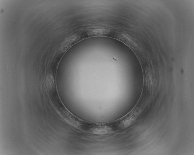 X0000074230459200609081625