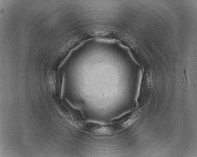 X0000074230460200609081625