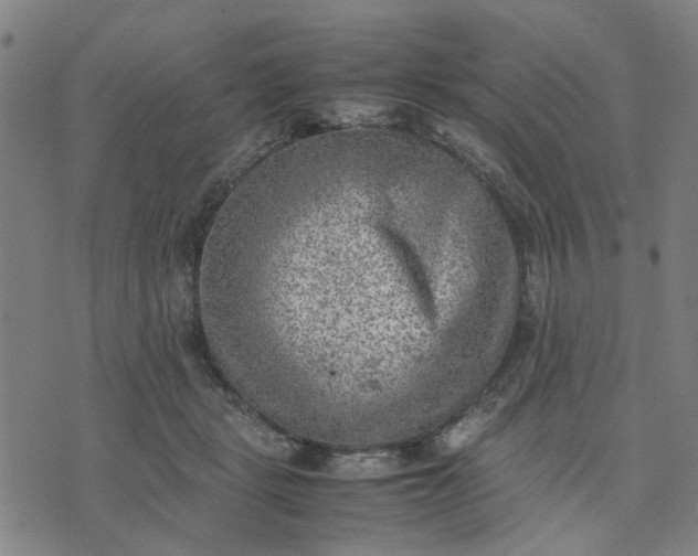 X0000074230461200609081625