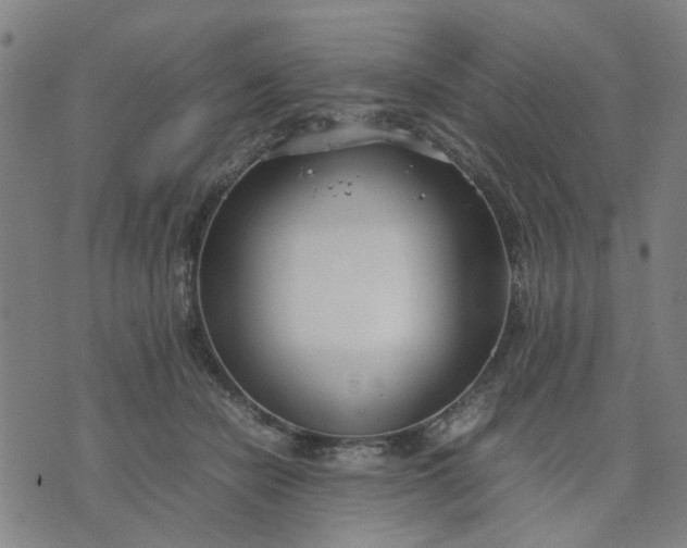 X0000074230462200609081625