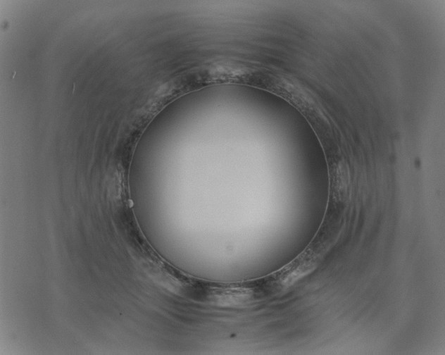 X0000074230463200609081625