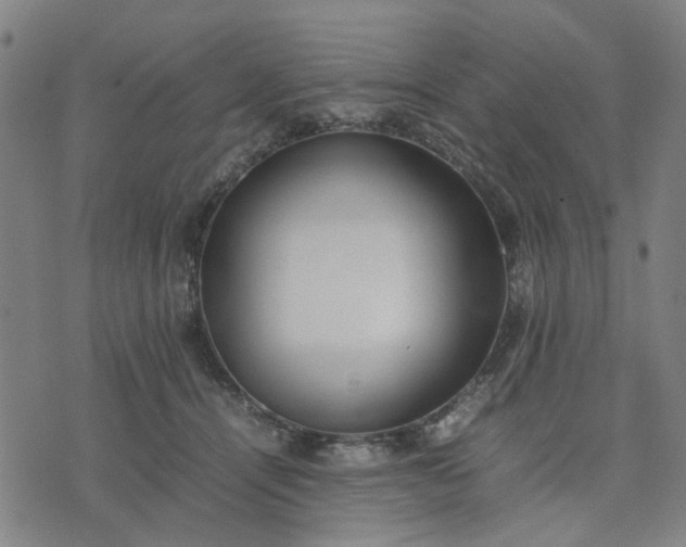 X0000074230464200609081625