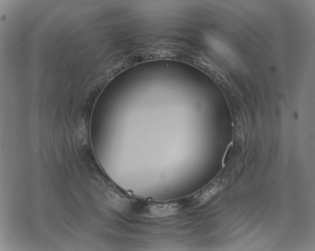 X0000074230465200609081625