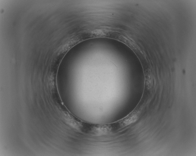 X0000074230466200609081625