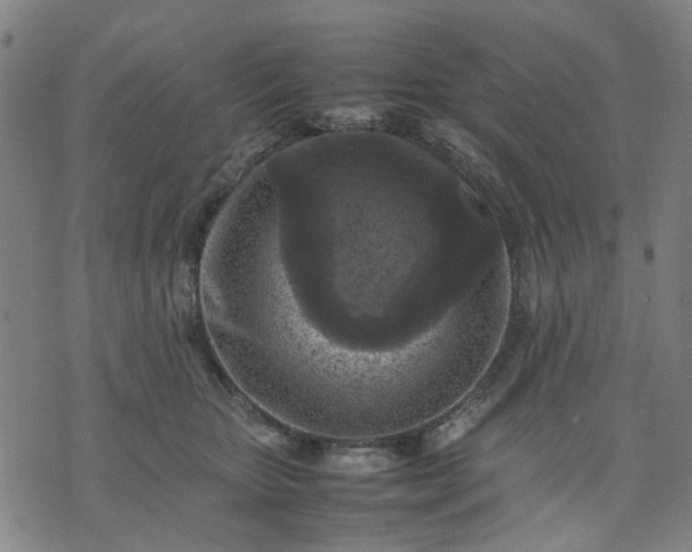 X0000074230467200609081625