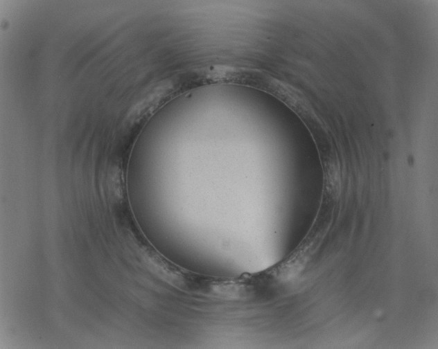 X0000074230470200609081625