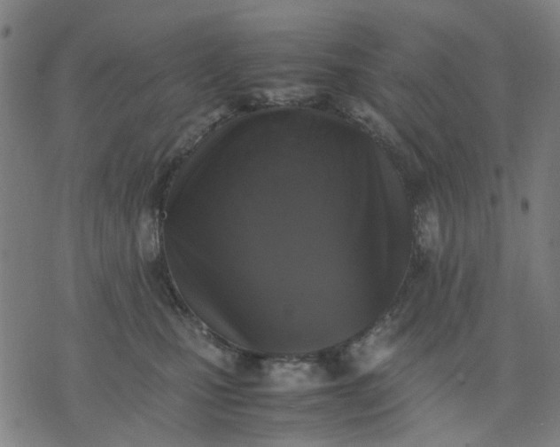 X0000074230471200609081625