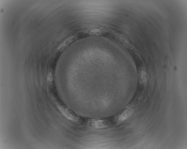 X0000074230472200609081625