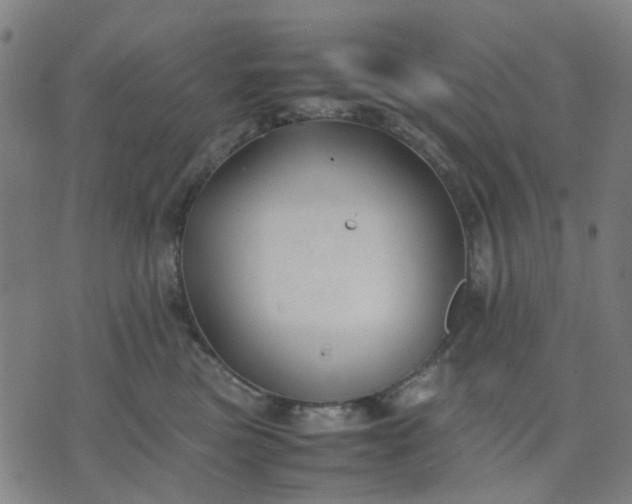 X0000074230473200609081625