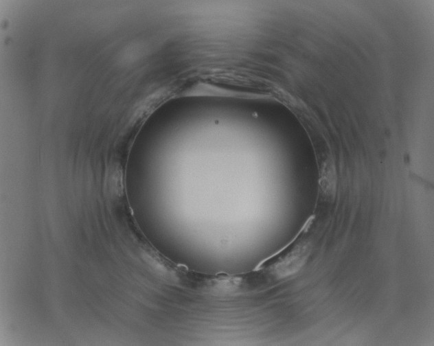 X0000074230474200609081625