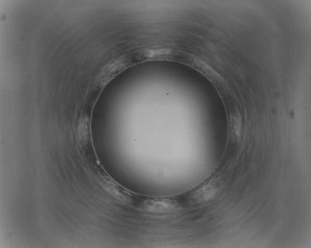 X0000074230475200609081625