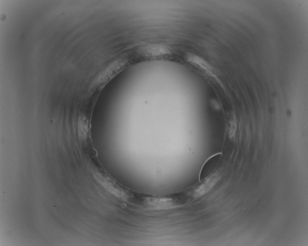 X0000074230476200609081625