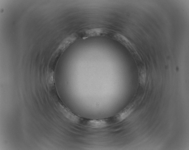 X0000074230477200609081625