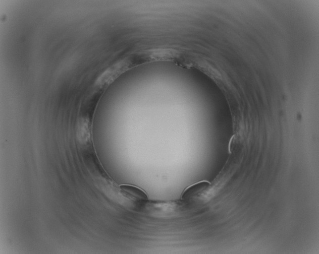 X0000074230478200609081625