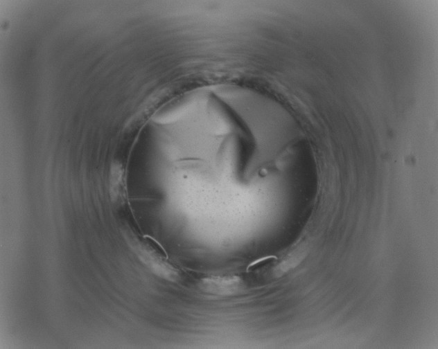 X0000074230480200609081626