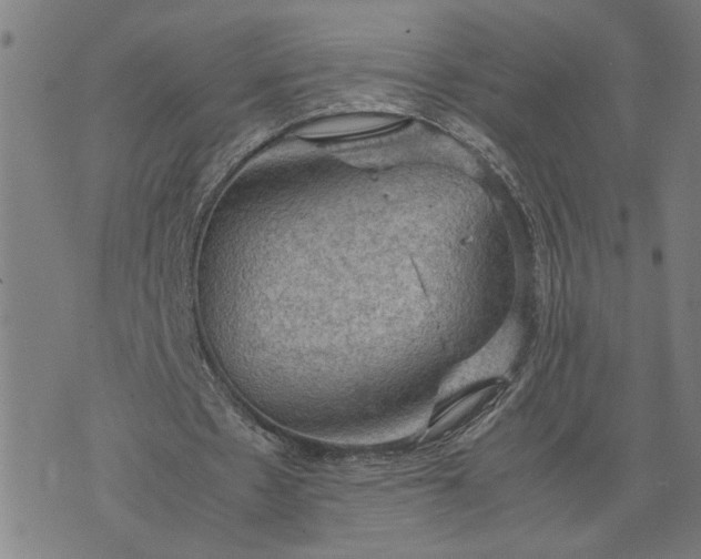 X0000074230481200609081625