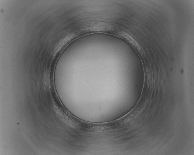 X0000074230482200609081625