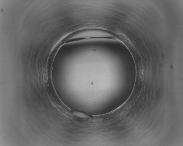 X0000074230484200609081625