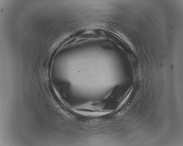 X0000074230485200609081625