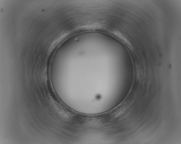 X0000074230486200609081625