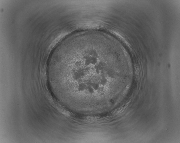 X0000074230487200609081625