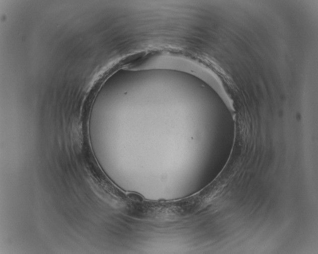 X0000074230488200609081625