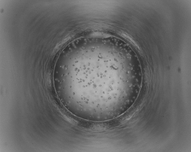 X0000074230489200609081625