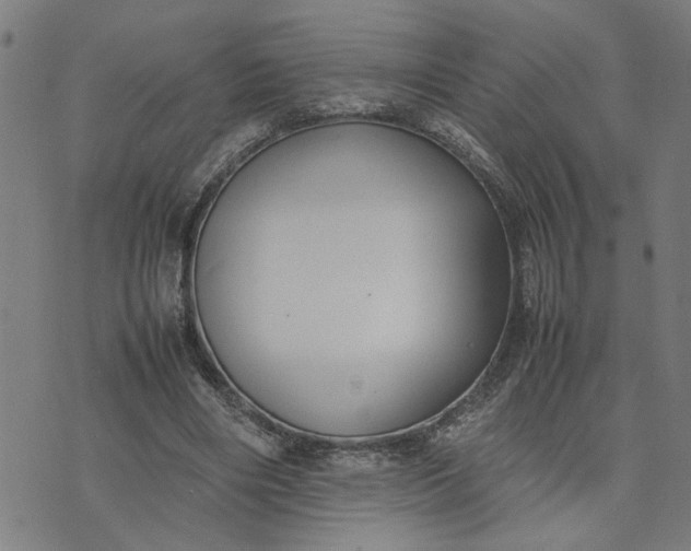 X0000074230490200609081625