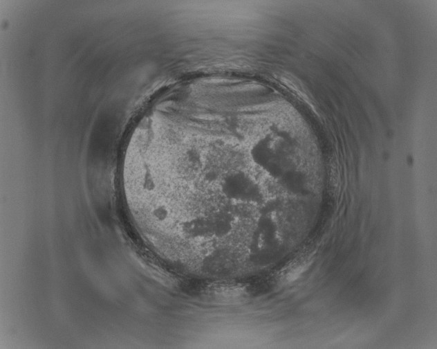 X0000074230491200609081625