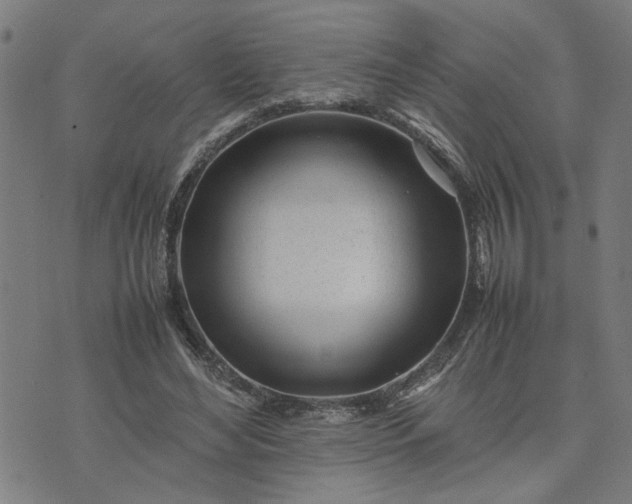 X0000074230492200609081625