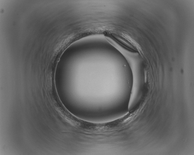 X0000074230493200609081625