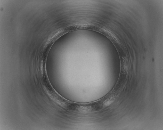 X0000074230494200609081625