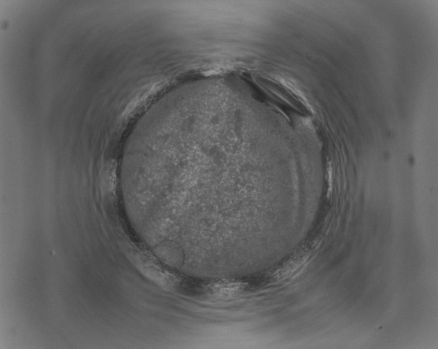 X0000074230495200609081624