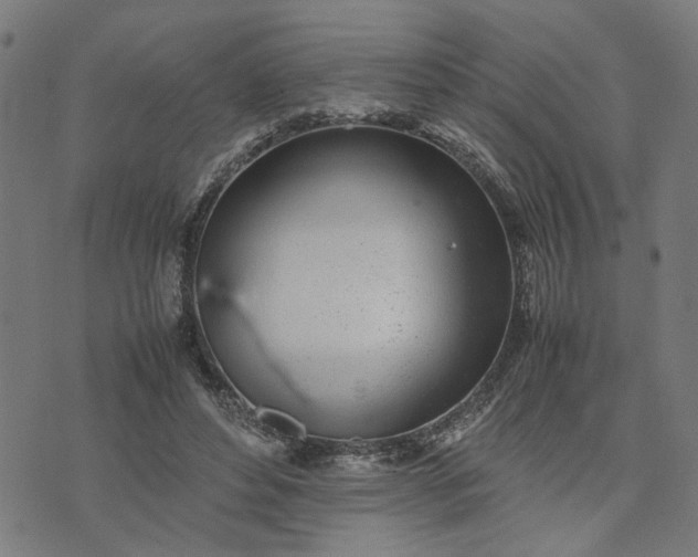 X0000074230496200609081624