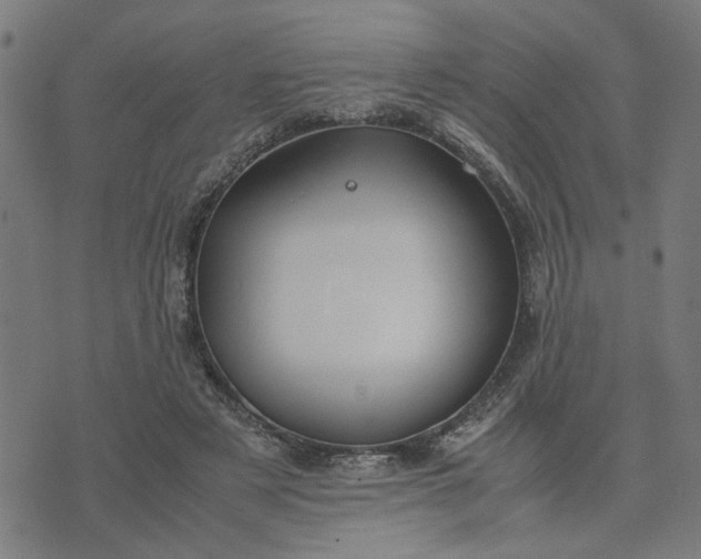 X0000074230497200609081624