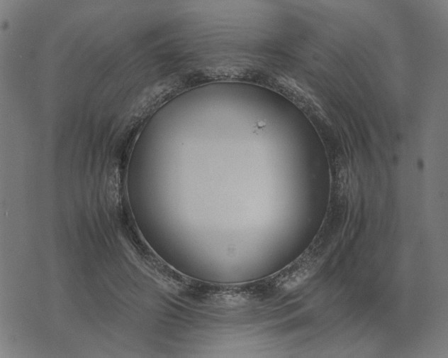 X0000074230498200609081624