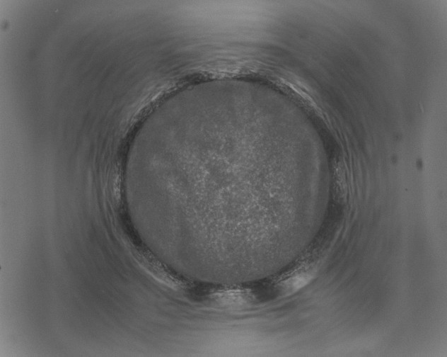 X0000074230499200609081624