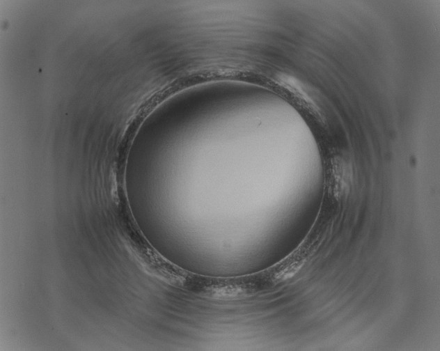 X0000074230500200609081624