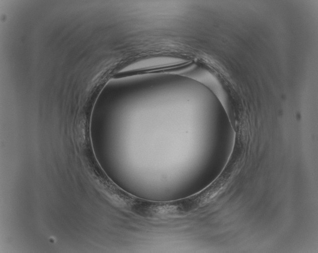 X0000074230501200609081624