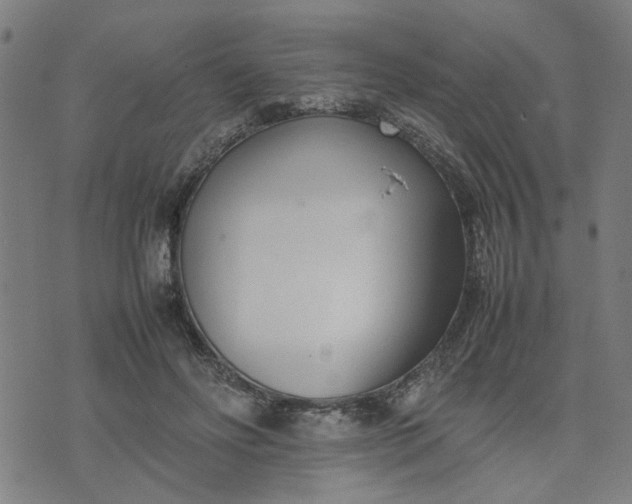 X0000074230502200609081624