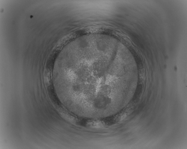 X0000074230503200609081624