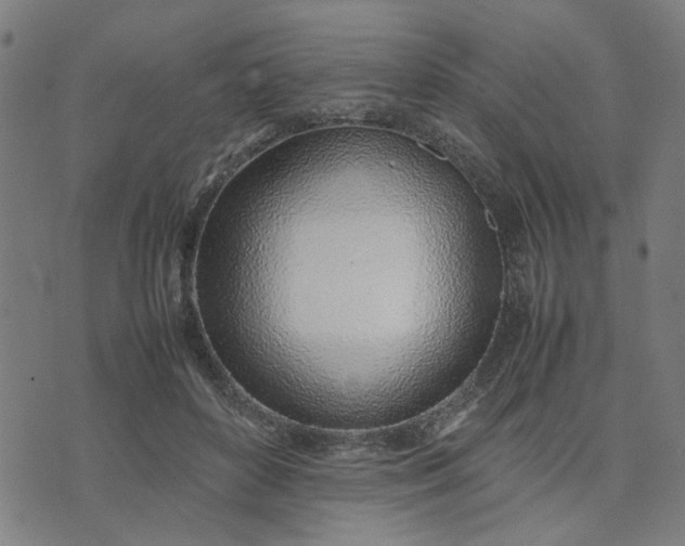 X0000074230504200609081624