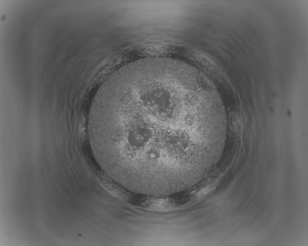 X0000074230507200609081624