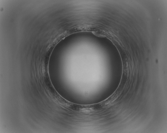 X0000074230508200609081624