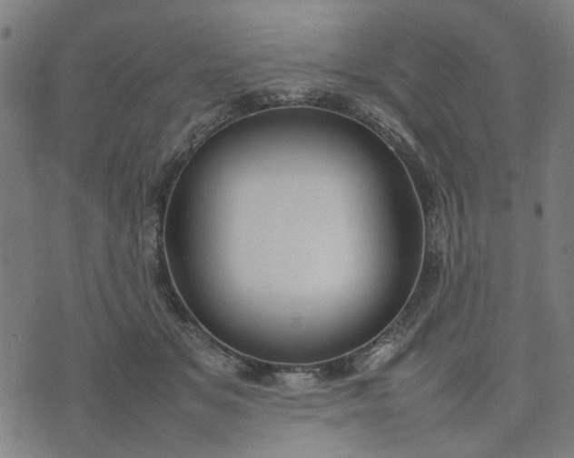 X0000074230509200609081624