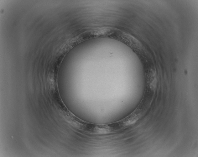 X0000074230510200609081624