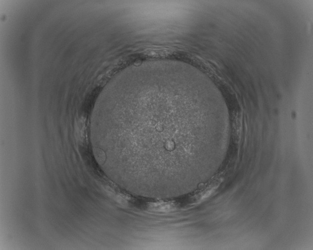 X0000074230511200609081624