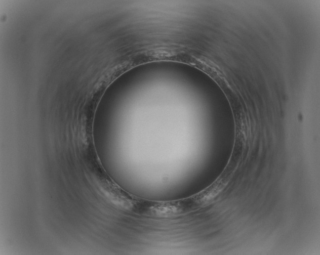 X0000074230512200609081624