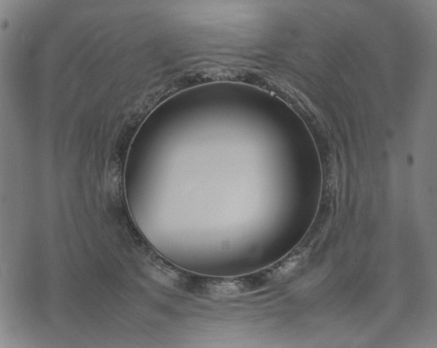 X0000074230513200609081624